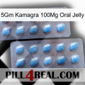 5Gm Kamagra 100Mg Oral Jelly viagra4